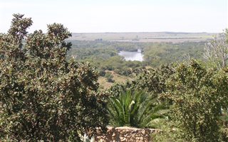900 m² Land available in Vaaloewer