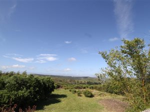 8.6 ha Farm in Robberg