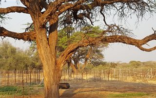 771 ha Farm in Zeerust