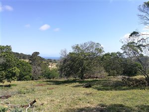 1092 m² Land available in Kragga Kamma