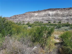 61 ha Farm in Ladismith