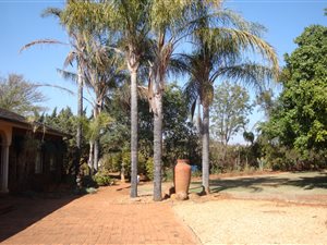 8.5 ha Farm in Polokwane Central