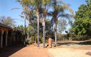 8.5 ha Farm in Polokwane Central