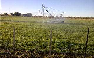 14.7 ha Farm in Zastron