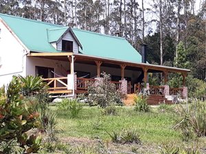 10.6 ha Farm in Roodefontein