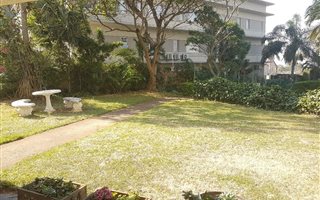1 Bedroom Apartment in Morningside