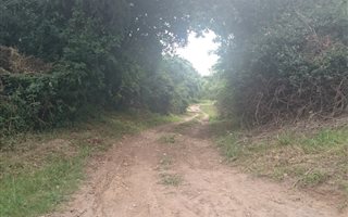 2505 m² Land available in Bathurst and Surrounds