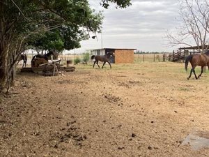 22 m² Farm in Klerksdorp