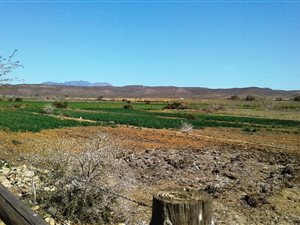 3 ha Farm in Oudtshoorn