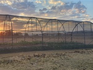 2 ha Farm in Andeon AH