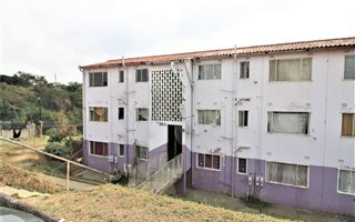 2 Bedroom Apartment in Hillary