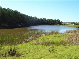 56 ha Land available in Gwaing