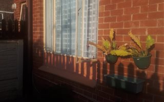 2 Bedroom Apartment in Witpoortjie