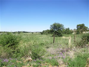 1.1 ha Land available in Estoire