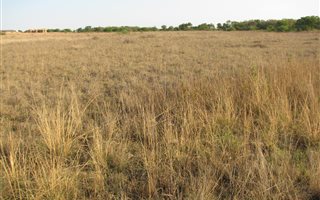 5 ha Land available in Mooiplaats AH