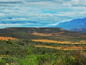 353 ha Farm in Uniondale