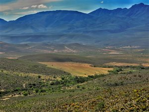 353 ha Farm in Uniondale