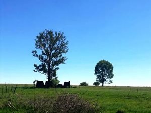 1948 ha Farm in Lichtenburg