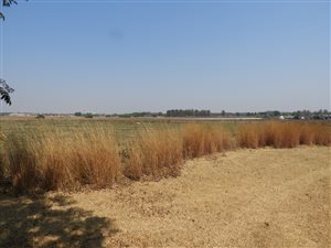 Commercial space in Brentwood Park