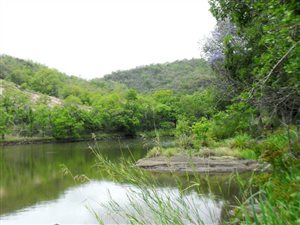 24 ha Farm in Nelspruit Central