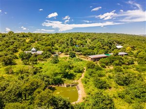 Game Farm in Pietermaritzburg Central