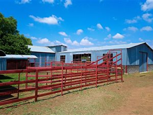 8.5 ha Farm in Wilgeboom AH