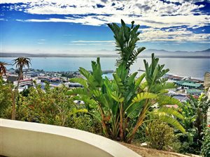 5 Bed House in Mossel Bay Central