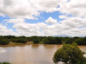 Game Farm in Hoedspruit