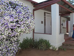 3 Bed House in Orange Grove