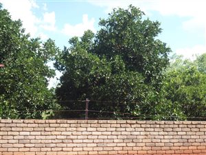 3.6 ha Farm in Mooinooi