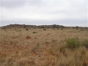 2500 ha Farm in Hopetown