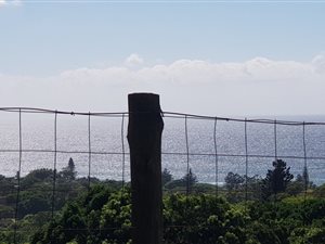 3603 m² Land available in Southport