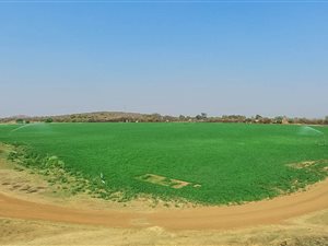 39.7 ha Farm in Brits