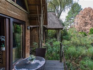 8.6 ha Farm in Rietfontein