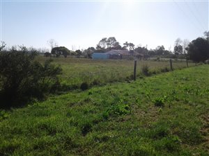 12.8 ha Farm in Tsitsikamma