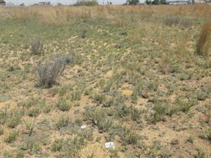 5600 m² Land available in Erand Gardens
