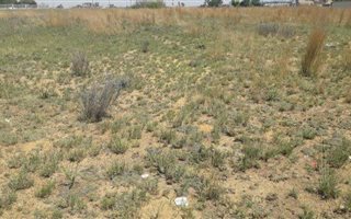 2.6 ha Land available in Erand Gardens