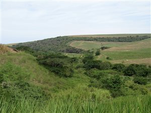 9 ha Farm in Shakaskraal