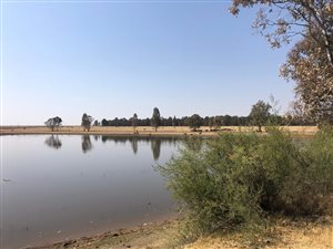 475.3 ha Farm in Kroonstad