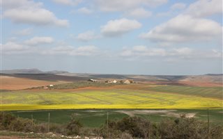 904 ha Farm in Mossel Bay Central