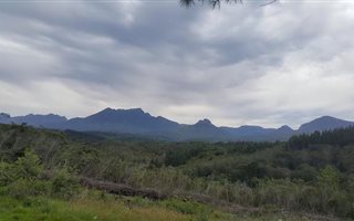 3.6 ha Farm in Wilderness Heights