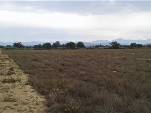 124.5 ha Farm in Oudtshoorn