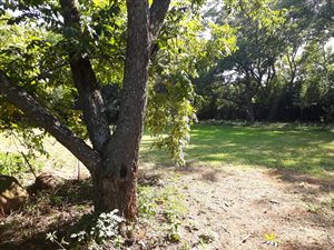 2060 m² Land available in Lynnwood Manor