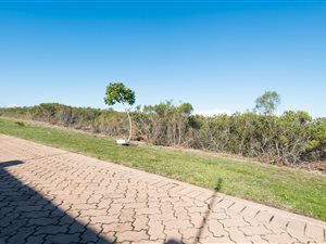 1215 m² Land available in Schoongezicht
