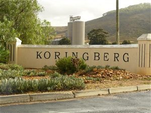 1658 m² Land available in Koringberg