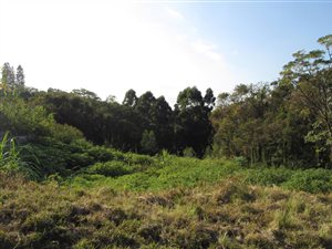 4070 m² Land available in Ashley