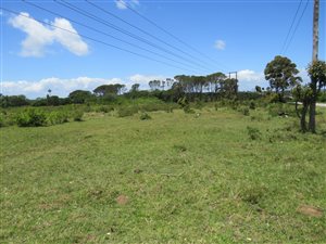 12 ha Land available in Bathurst and Surrounds