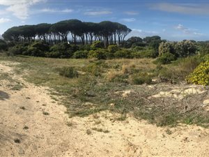 1413 m² Land available in Stonehurst Mountain Estate