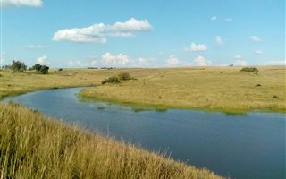 166 ha Farm in Heilbron