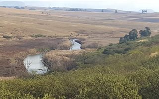 1 ha Land available in Rosetta